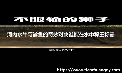 河内水牛与鲶鱼的奇妙对决谁能在水中称王称霸