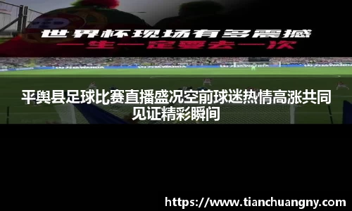平舆县足球比赛直播盛况空前球迷热情高涨共同见证精彩瞬间