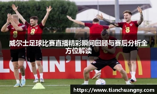 威尔士足球比赛直播精彩瞬间回顾与赛后分析全方位解读